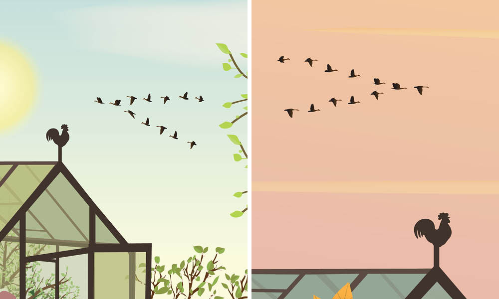 Autumn feeling plakat + Spring feeling plakat