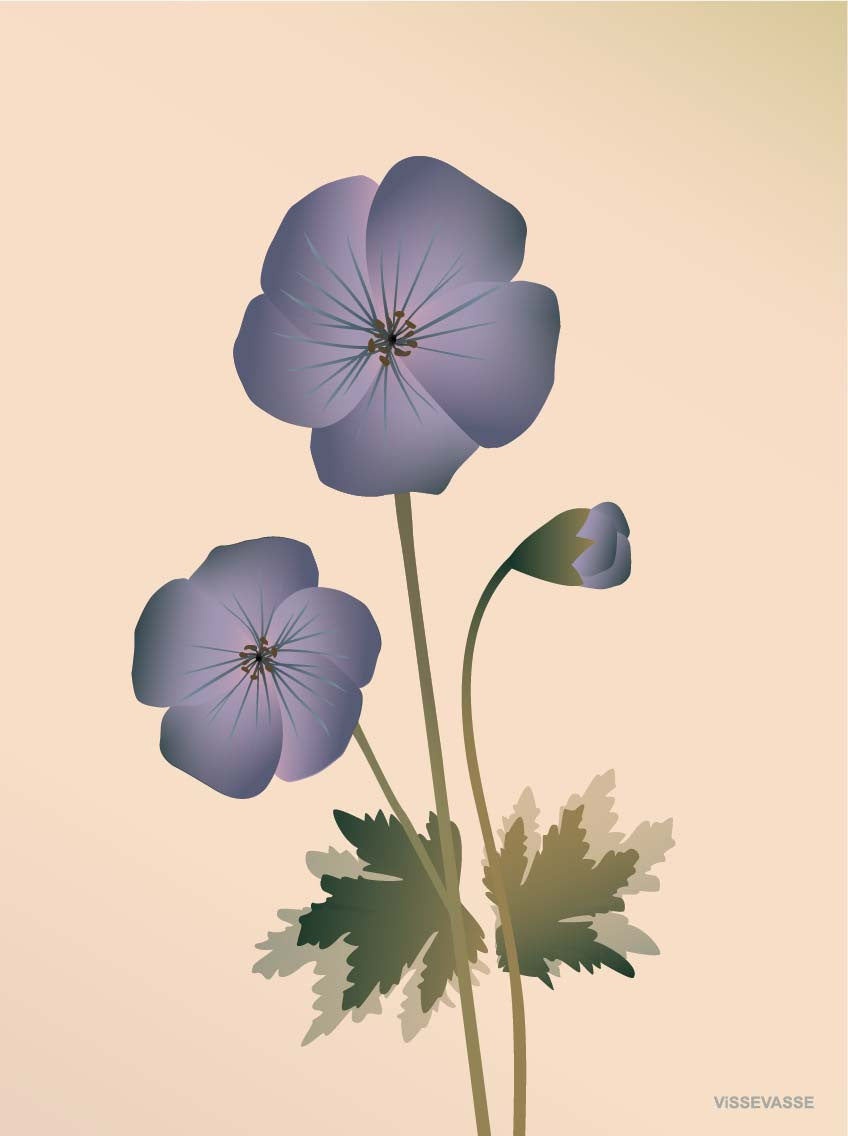 GERANIUM nude - plakat - ViSSEVASSE