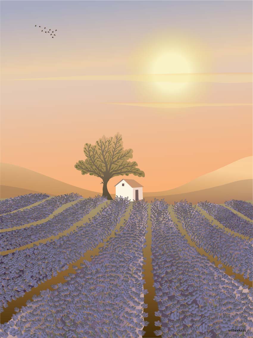 LAVENDER FIELD - kort